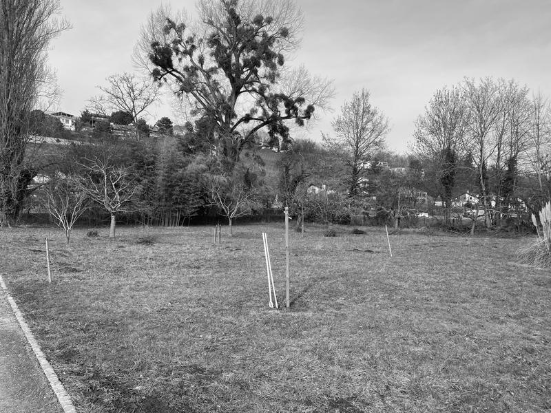 2103 Vallamand